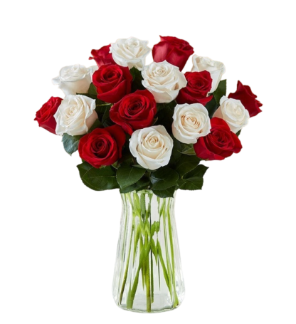 19 red and white roses